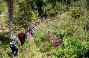 Participantes do Projeto Comunitário fazem trilha na reserva
